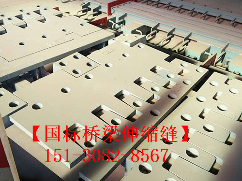防水橋梁伸縮縫裝置 良品*標(biāo)五防伸縮縫裝置