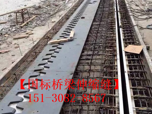 防水橋梁伸縮縫裝置 良品*標(biāo)五防伸縮縫裝置