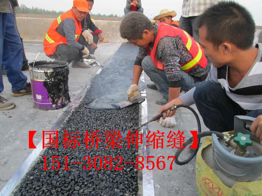 TST橋梁伸縮接縫彈塑體 *標(biāo)TST無縫伸縮縫廠家
