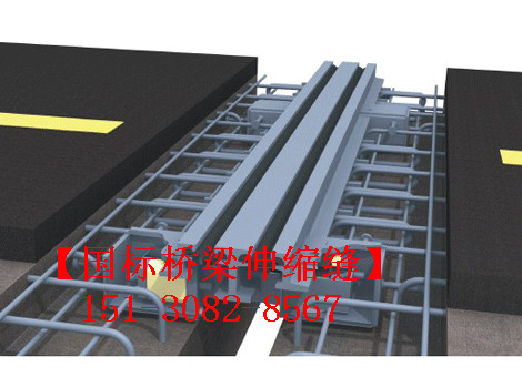 模數(shù)式橋梁伸縮縫裝置 良品*標(biāo)**模數(shù)式伸縮縫