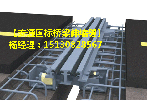 160型伸縮縫 雙組式橋梁伸縮縫模數(shù)式伸縮縫廠家1