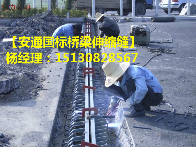 橋梁伸縮縫 良品各種型號(hào)橋梁伸縮縫裝置簡(jiǎn)介2