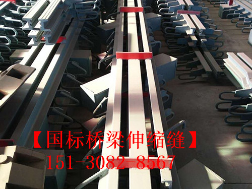 GQF-MZL型橋梁伸縮縫行業(yè)** 性能可靠