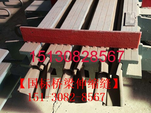 路橋?qū)Ｓ脴蛄荷炜s縫裝置TST、型鋼伸縮縫、模數(shù)式伸縮縫圖集151-3082-8567