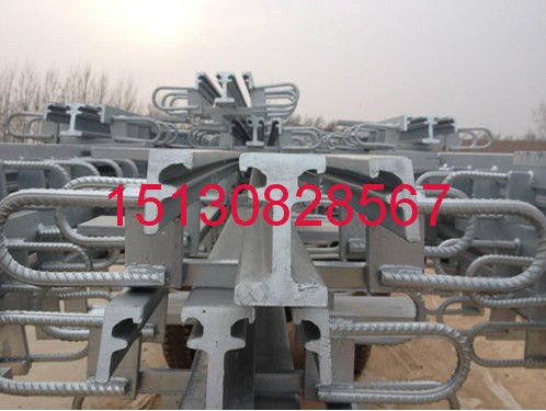 橡塑路橋**產(chǎn)品-D160型模數(shù)式伸縮縫現(xiàn)貨151-3082-8567